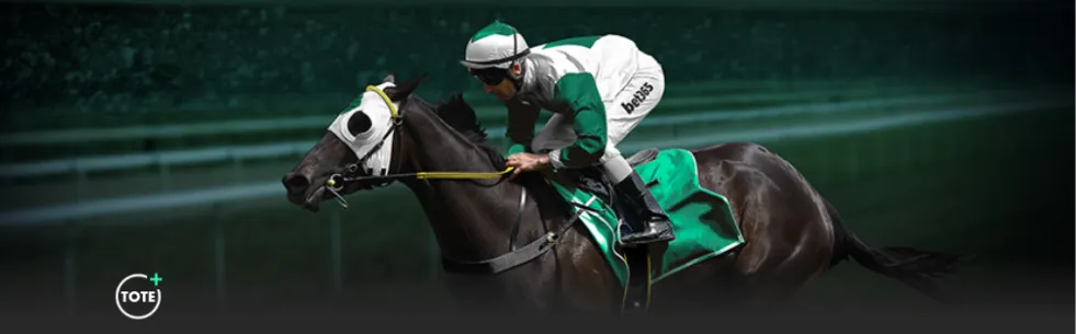 劳尔,阿森西奥,国家队荣耀,欧博体育,oubo,Abg,欧博体育网址,欧博app,欧博官网,欧博集团