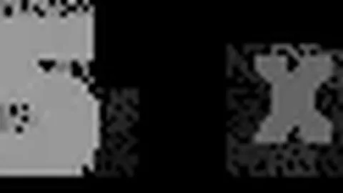 “羽坛新星：日本天才少女美貌出众，恐成我国羽球劲敌？”