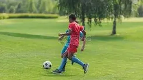 联合国秘书长缅怀俄乌冲突周年，呼吁全面和平实现